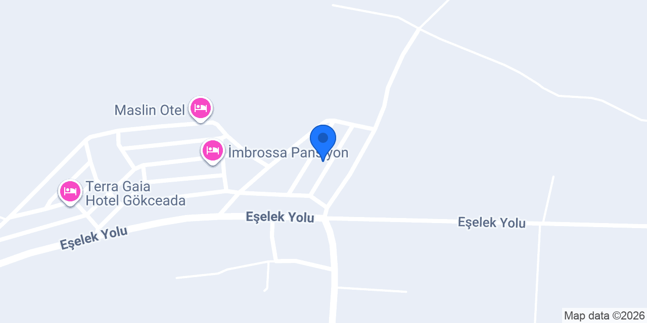 Altın Pansiyon konumu