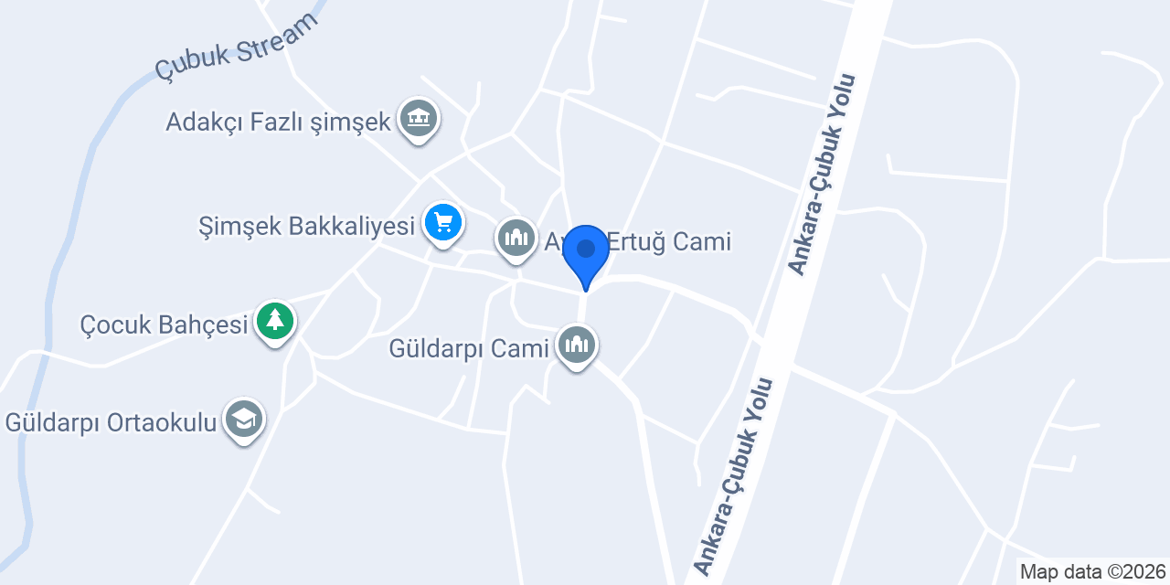 SAVESA Grup konumu