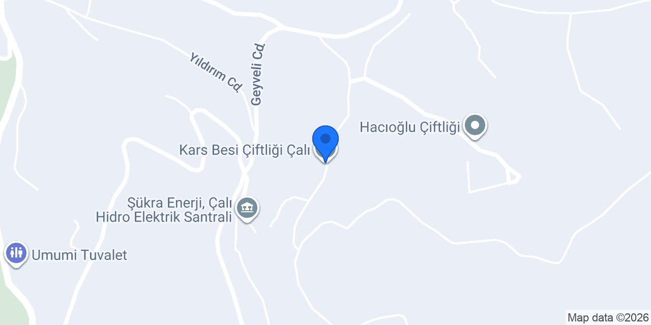 Kars Besi Çiftliği Çalı konumu