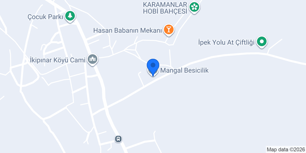 Mangal Besicilik konumu
