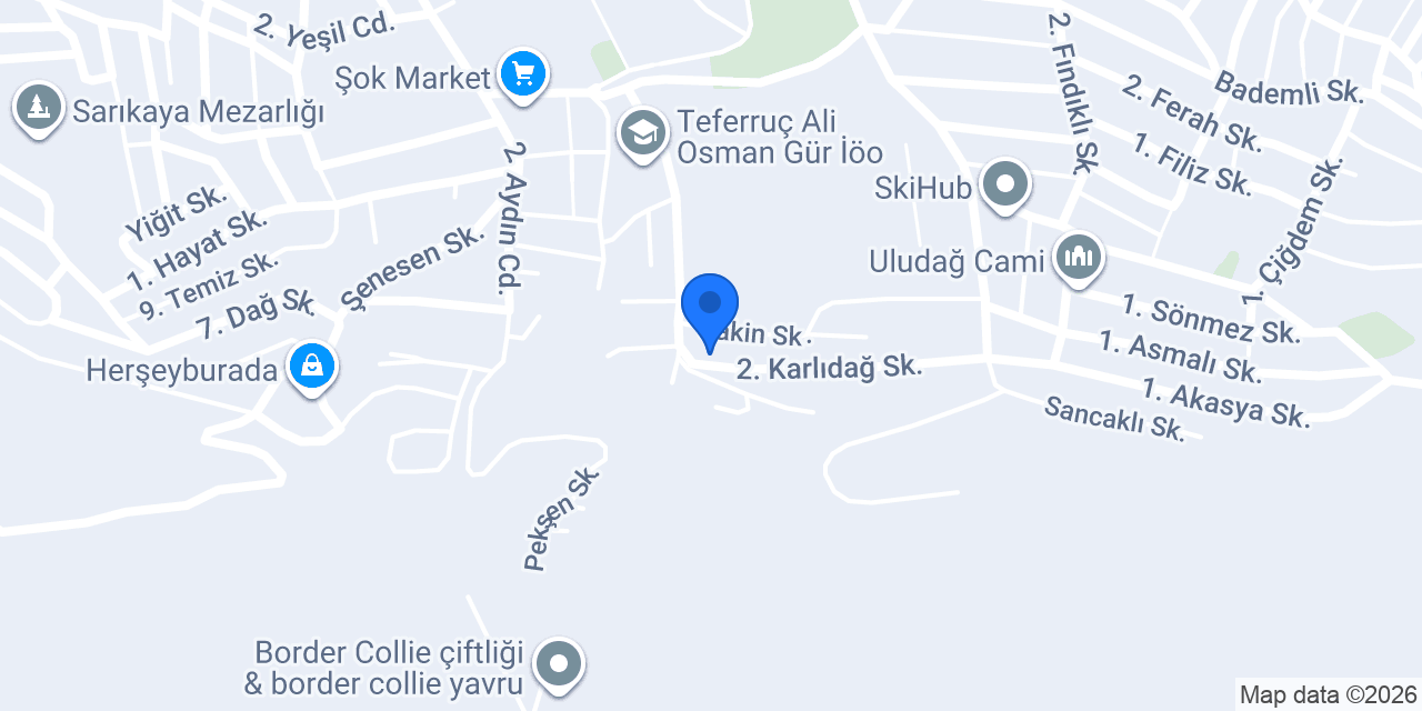 Bursa Boyacı konumu