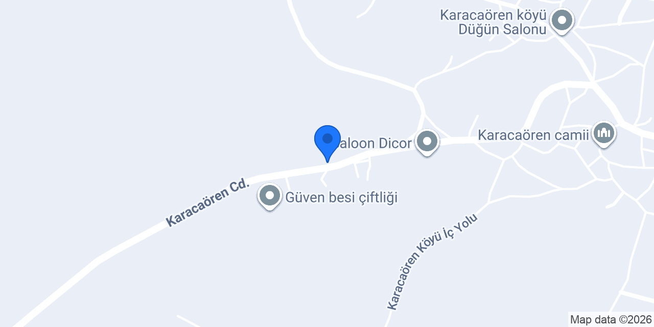 Dama Halı Yıkama konumu