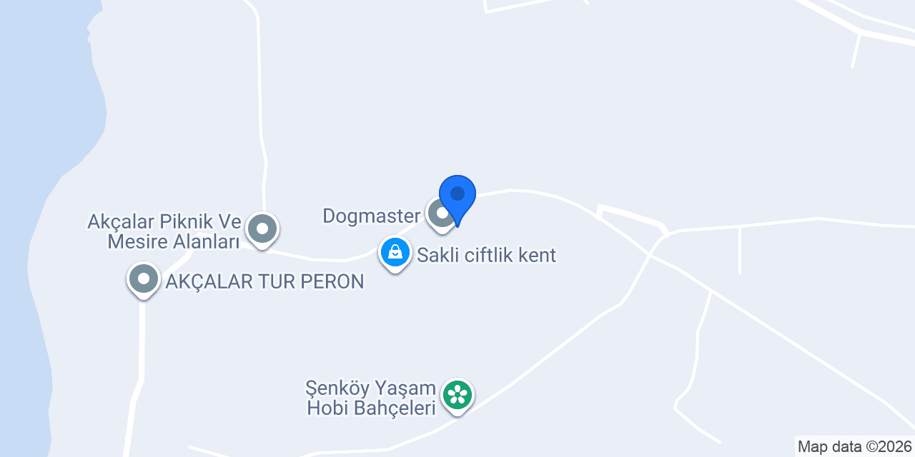 Patifun konumu