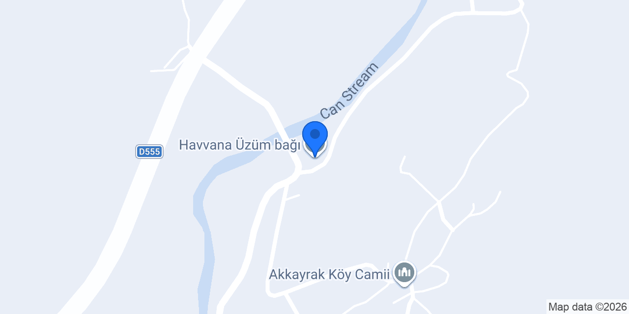 Havvana Üzüm bağı konumu