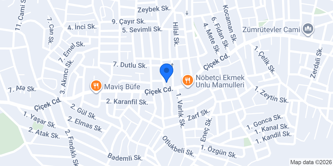 VİTAYUM YUMURTA konumu