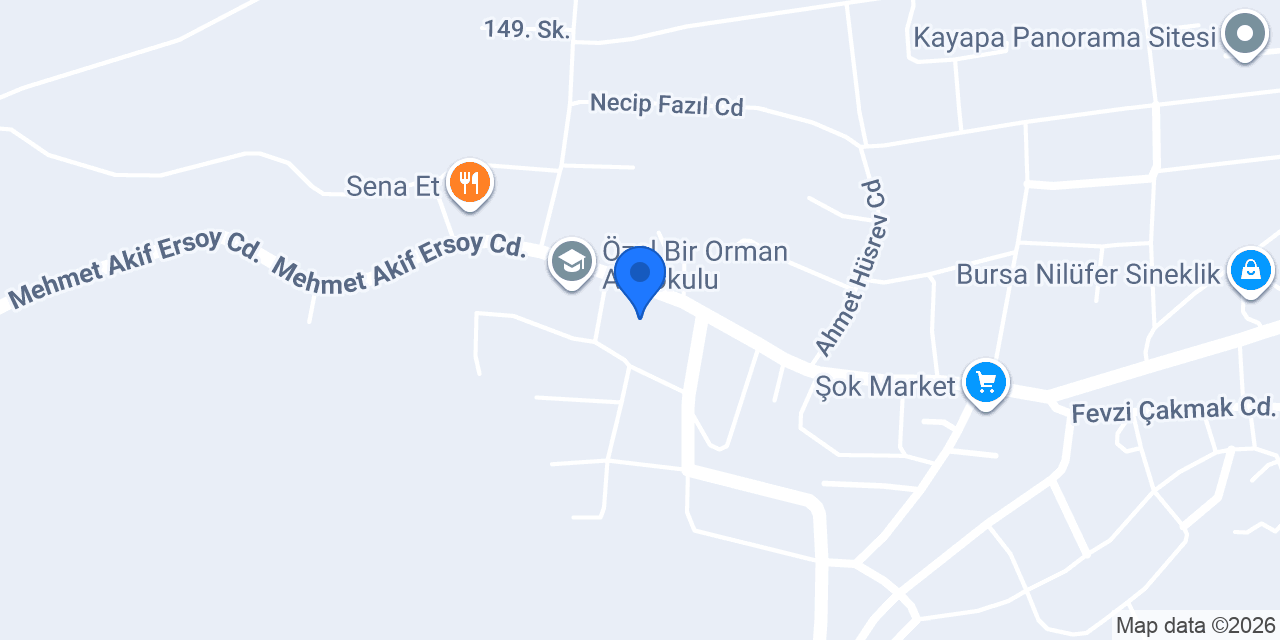 Çelik Oto Lastik kayapa konumu