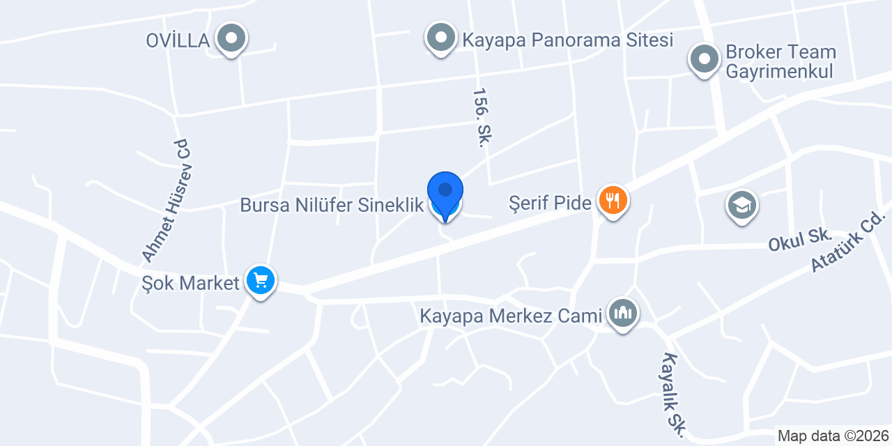 Bursa Nilüfer Sineklik konumu