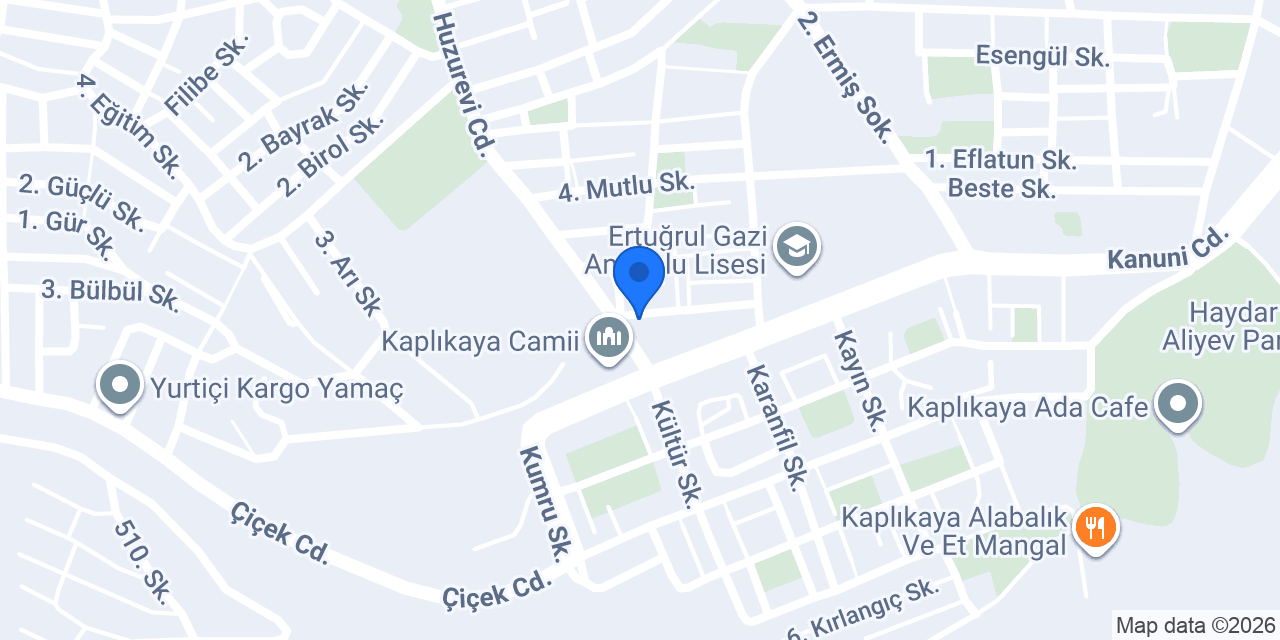 Prusa Organizasyon konumu