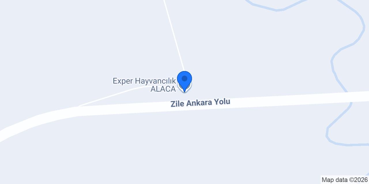 Exper Hayvancılık ALACA konumu