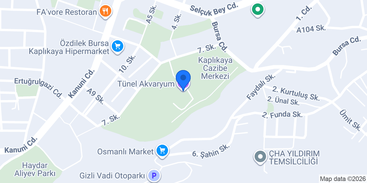 Tünel Akvaryum konumu