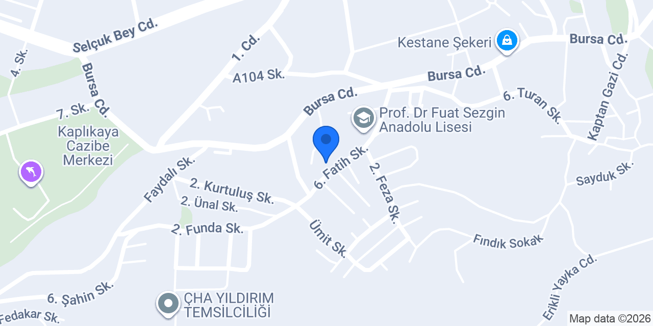 PROF.DR.FUAT SEZGİN ORTAOKULU konumu