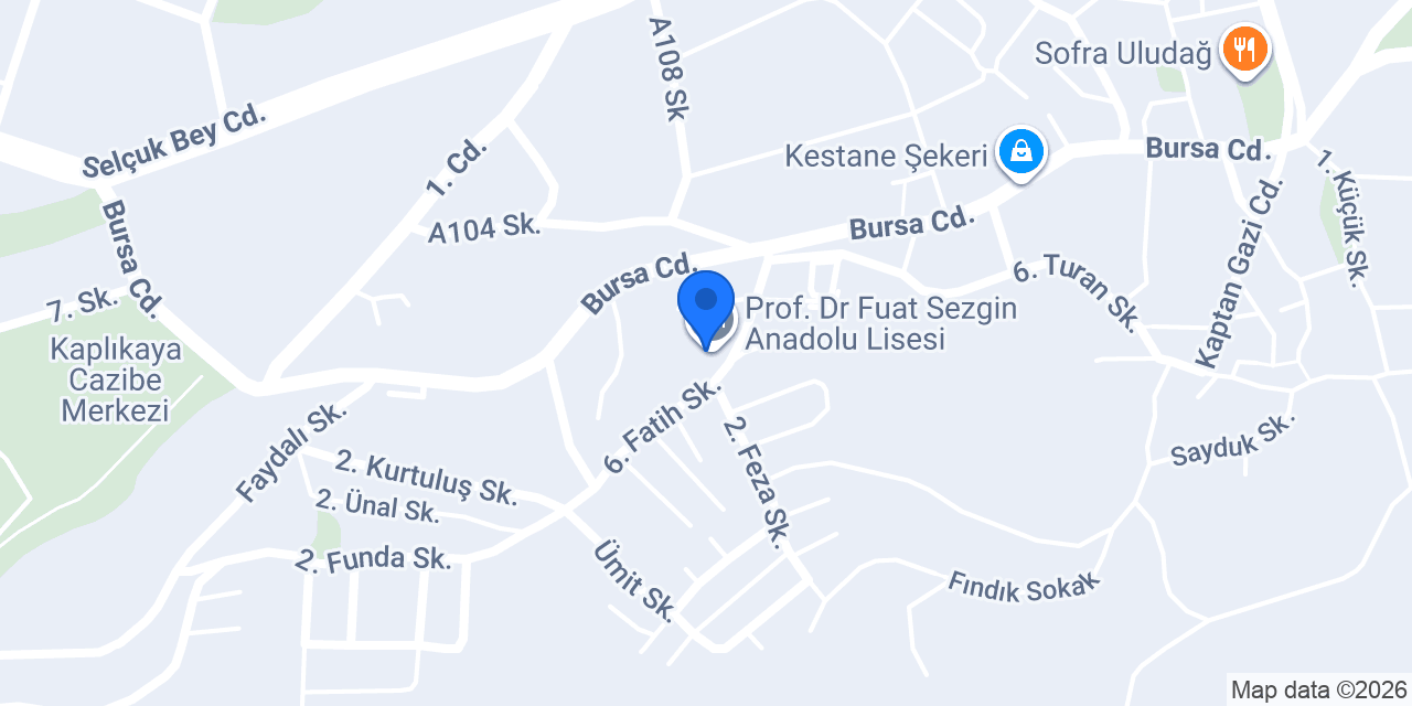 Prof. Dr Fuat Sezgin Anadolu Lisesi konumu