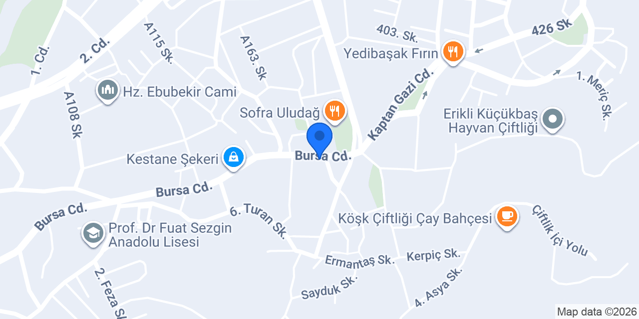 Maya çömlekte cerrah kuru fasulye konumu