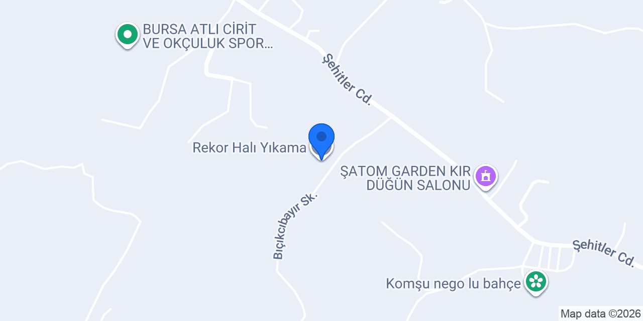 Rekor Halı Yıkama konumu