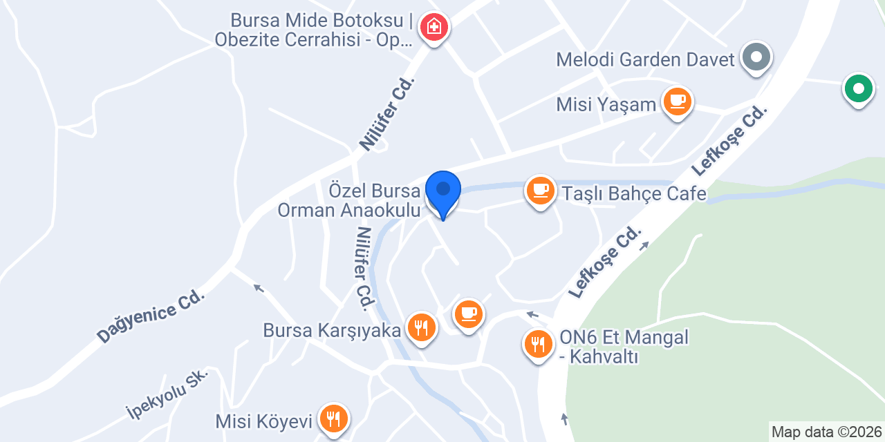 Özel Bursa Orman Anaokulu konumu