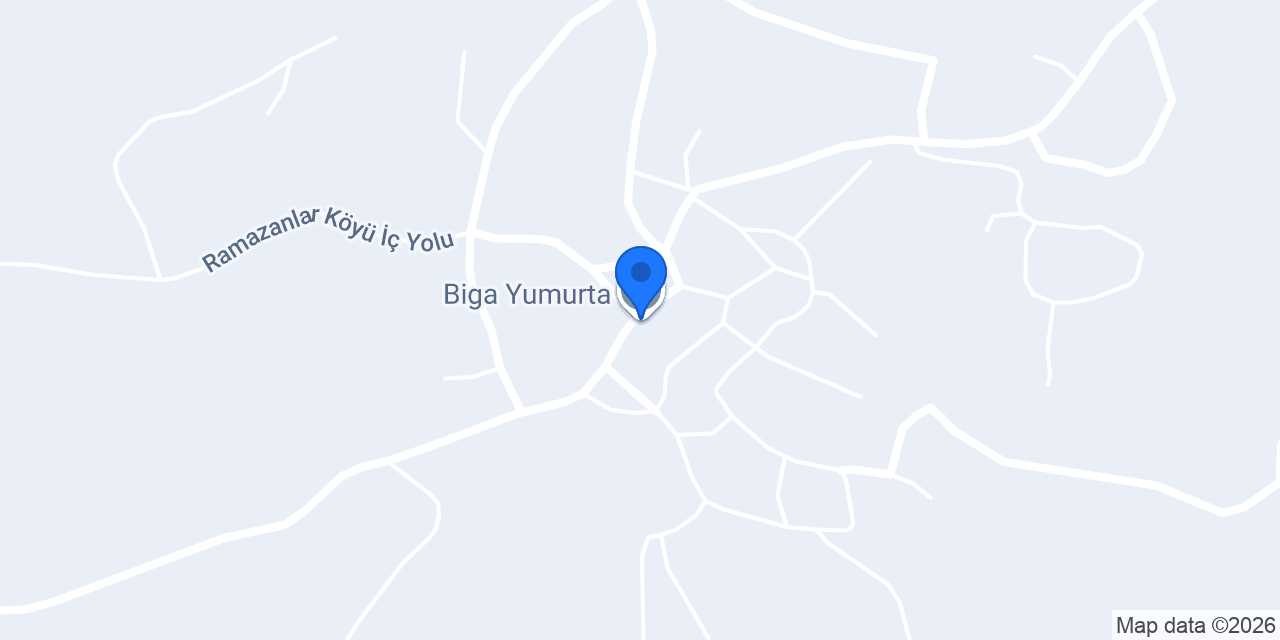 Biga Yumurta konumu