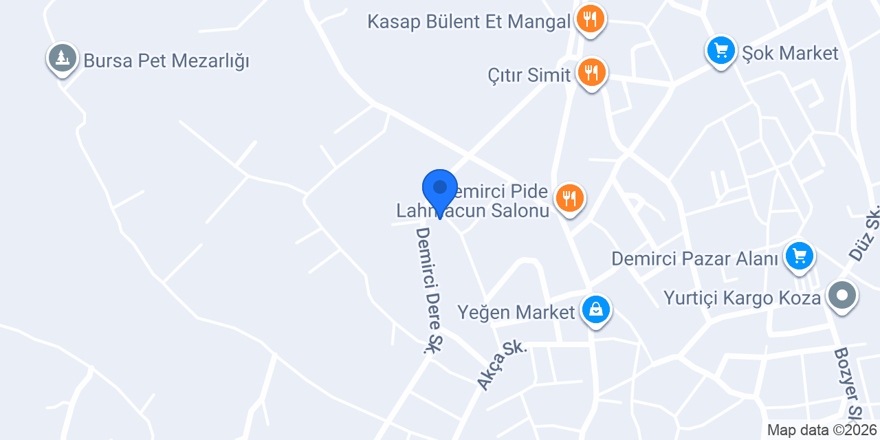 Nesillokma konumu