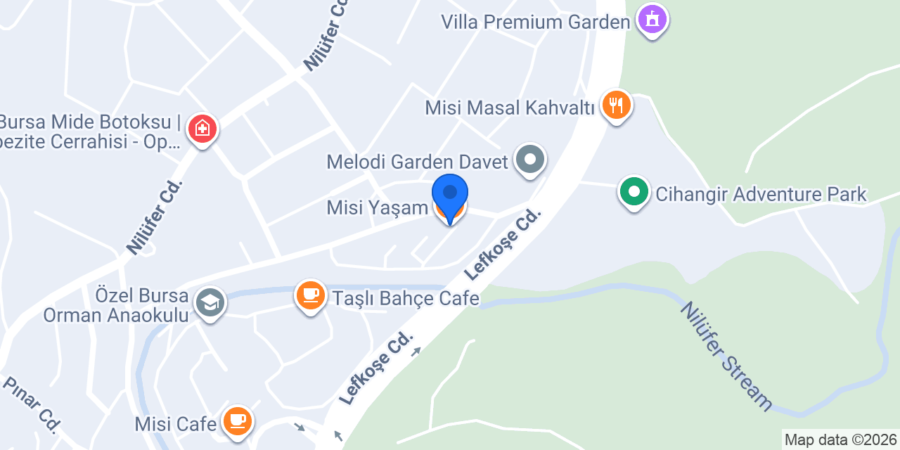 Misi Yaşam konumu
