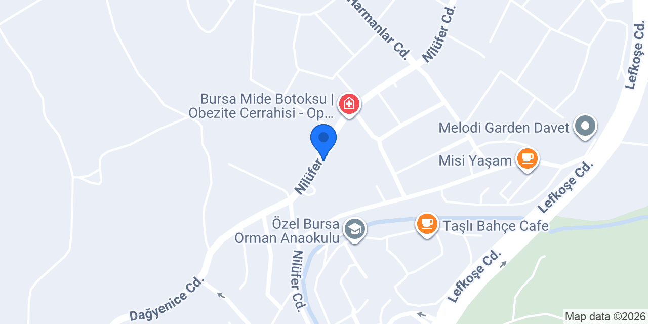 Günlük Süt konumu
