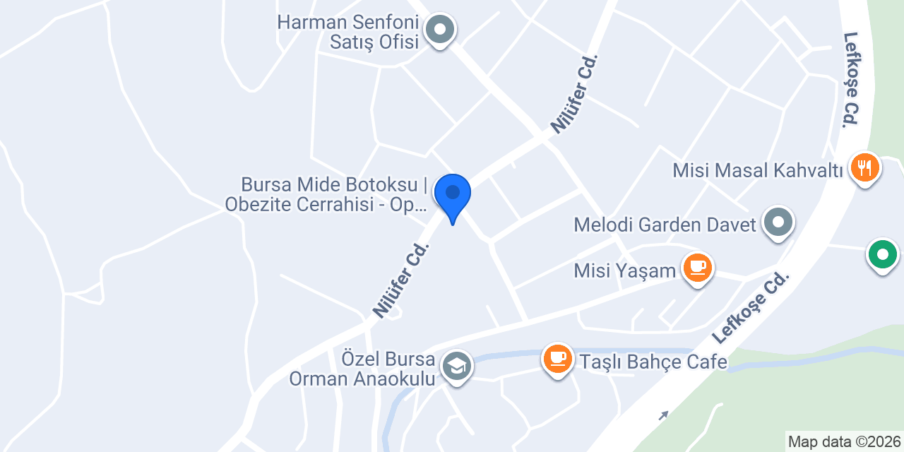 Bariatric Surgery Turkey konumu