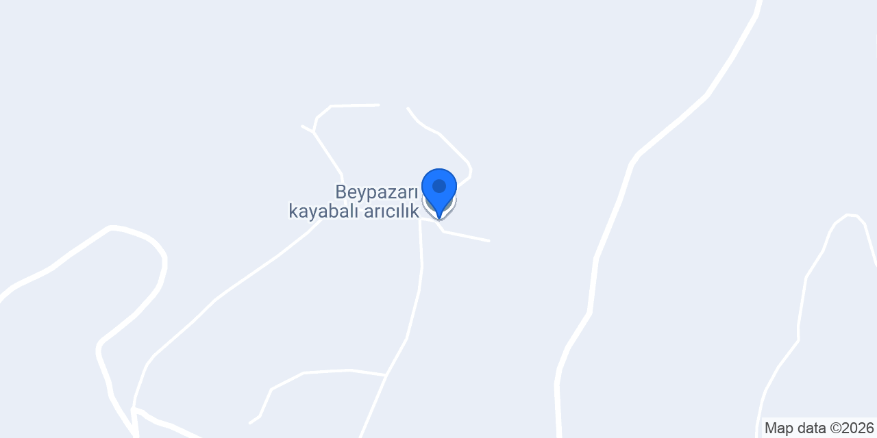 Beypazarı kayabalı arıcılık konumu