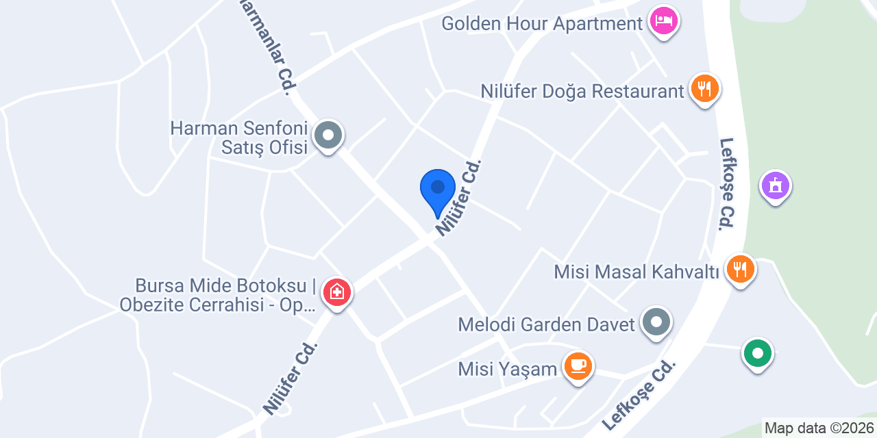 GÜMÜŞ MOTOR konumu