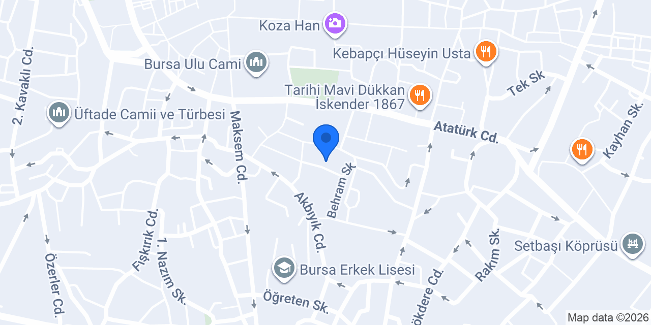 elsanatlariburada.com konumu