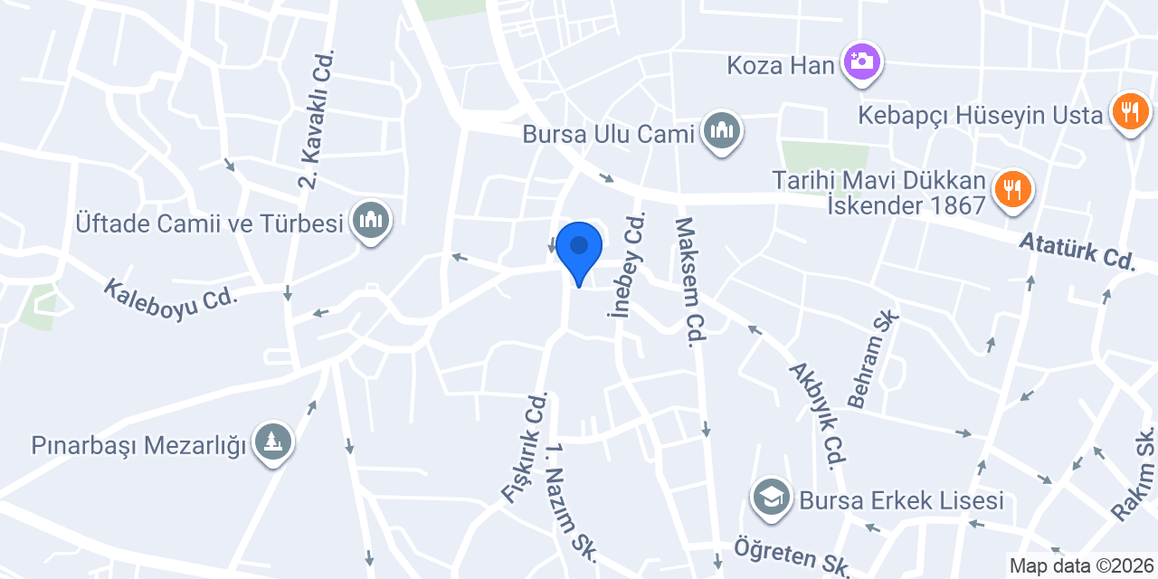 Bursa Özel Kurye konumu