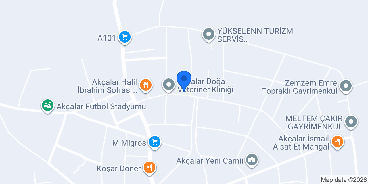 23 Terzi konumu