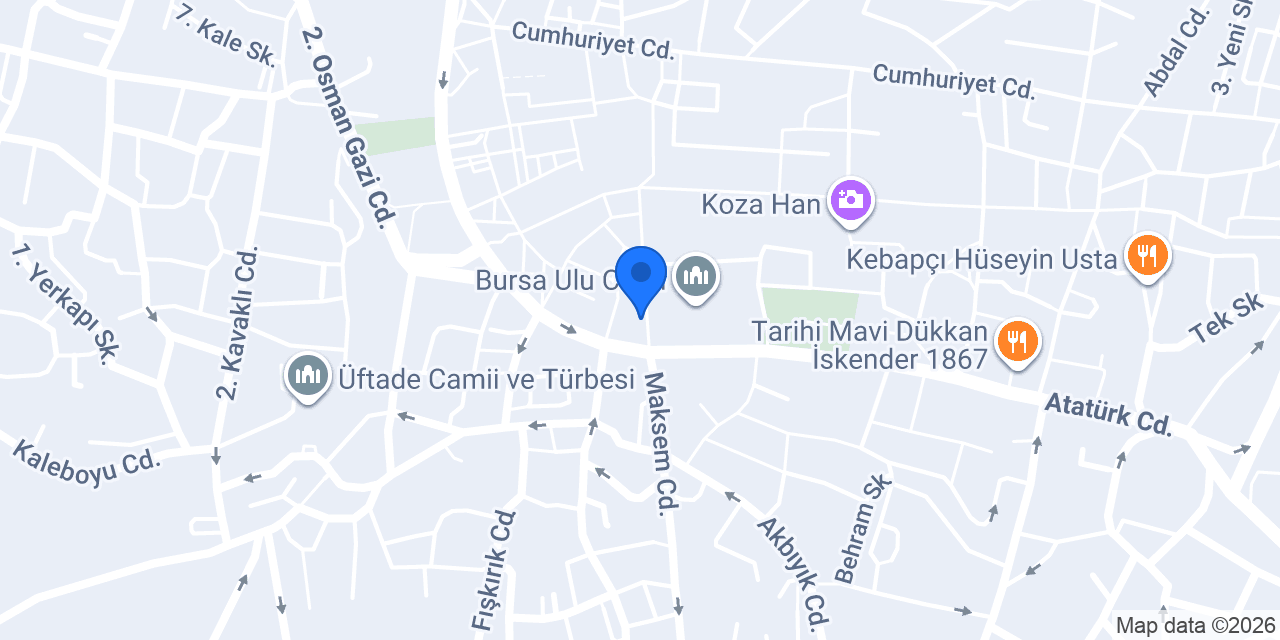 Çınar Izgara konumu