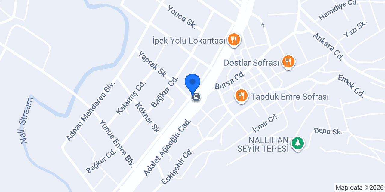 Dt.Serdar İMİR konumu