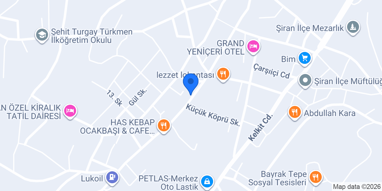 DOİS Şiran konumu