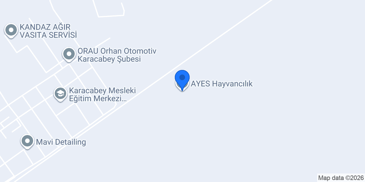 AYES Hayvancılık konumu