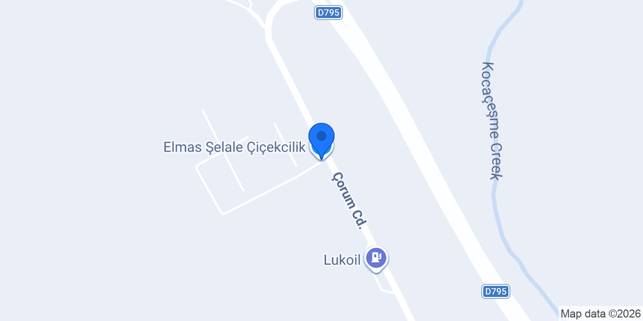 Elmas Şelale Çiçekcilik konumu