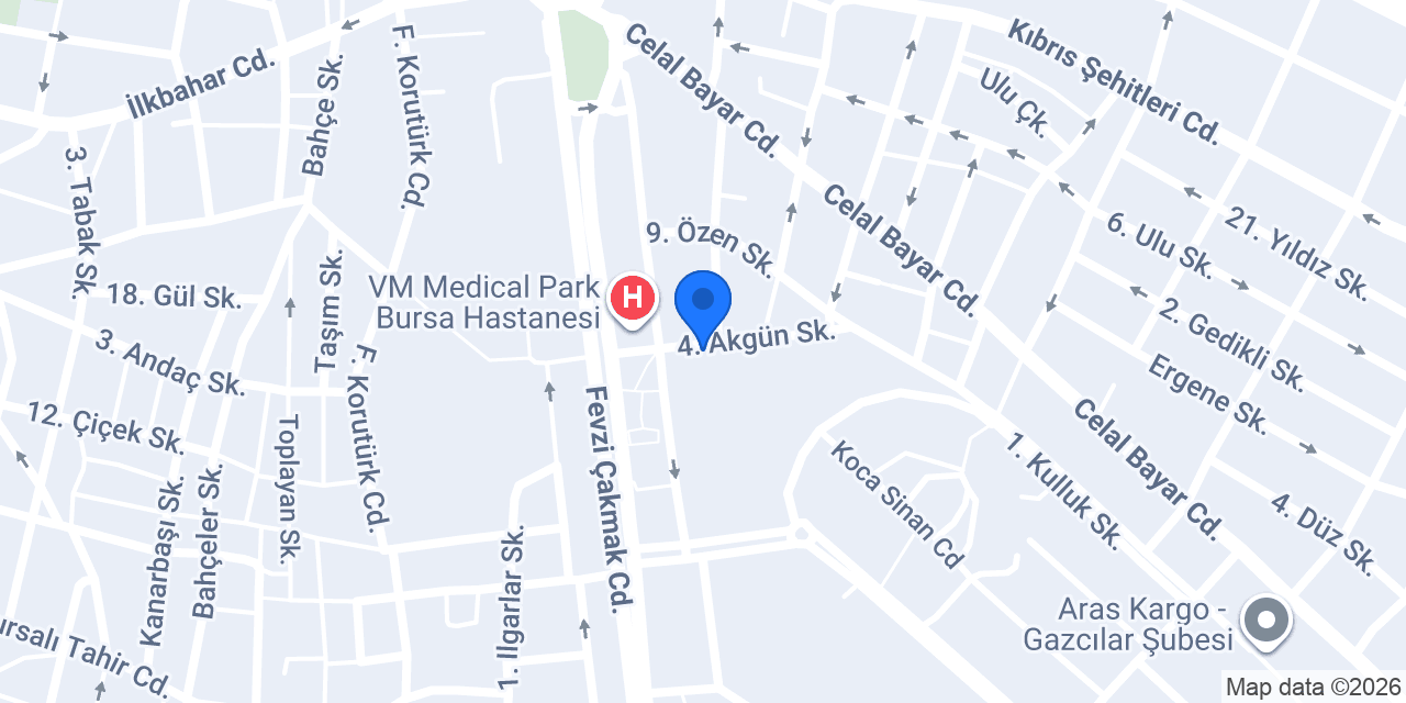Bursa Malkoç Otel konumu