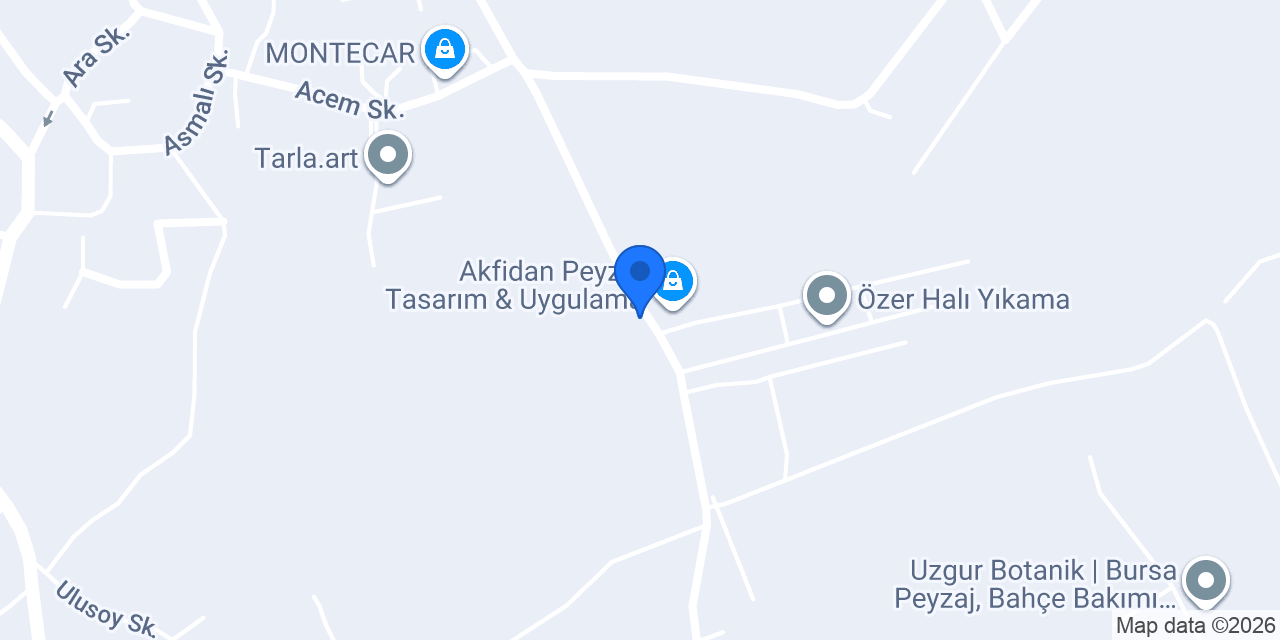 Elif Platform konumu