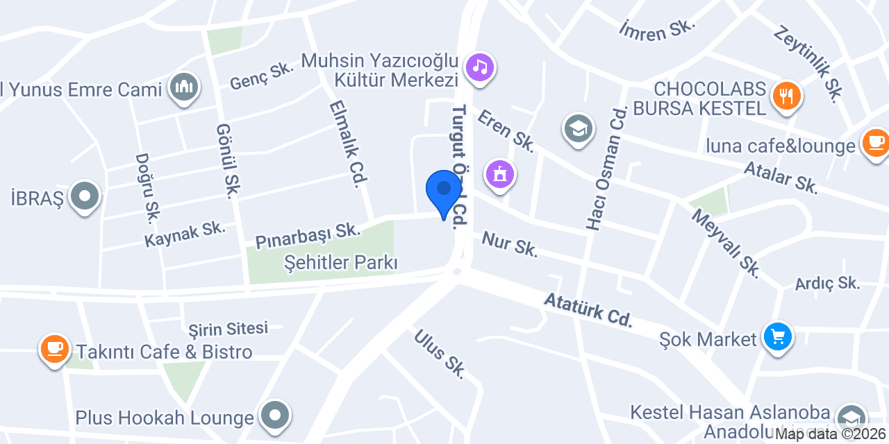 ROTA PİZZA KESTEL konumu
