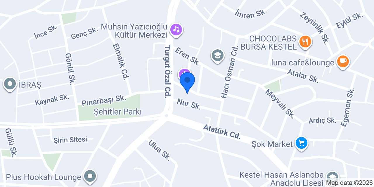 Kestel Rehberlik ve Araştırma Merkezi konumu