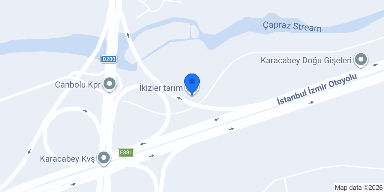 İkizler tarım konumu