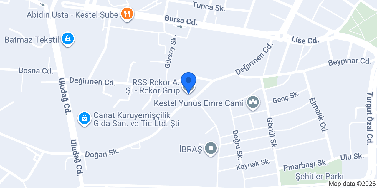 RSS Rekor A.Ş. - Rekor Grup konumu