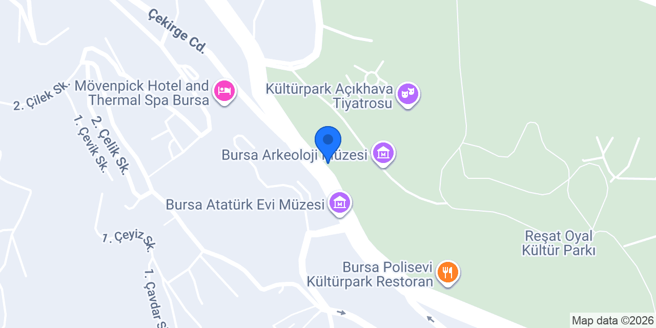 Çelik Palas Taksi konumu