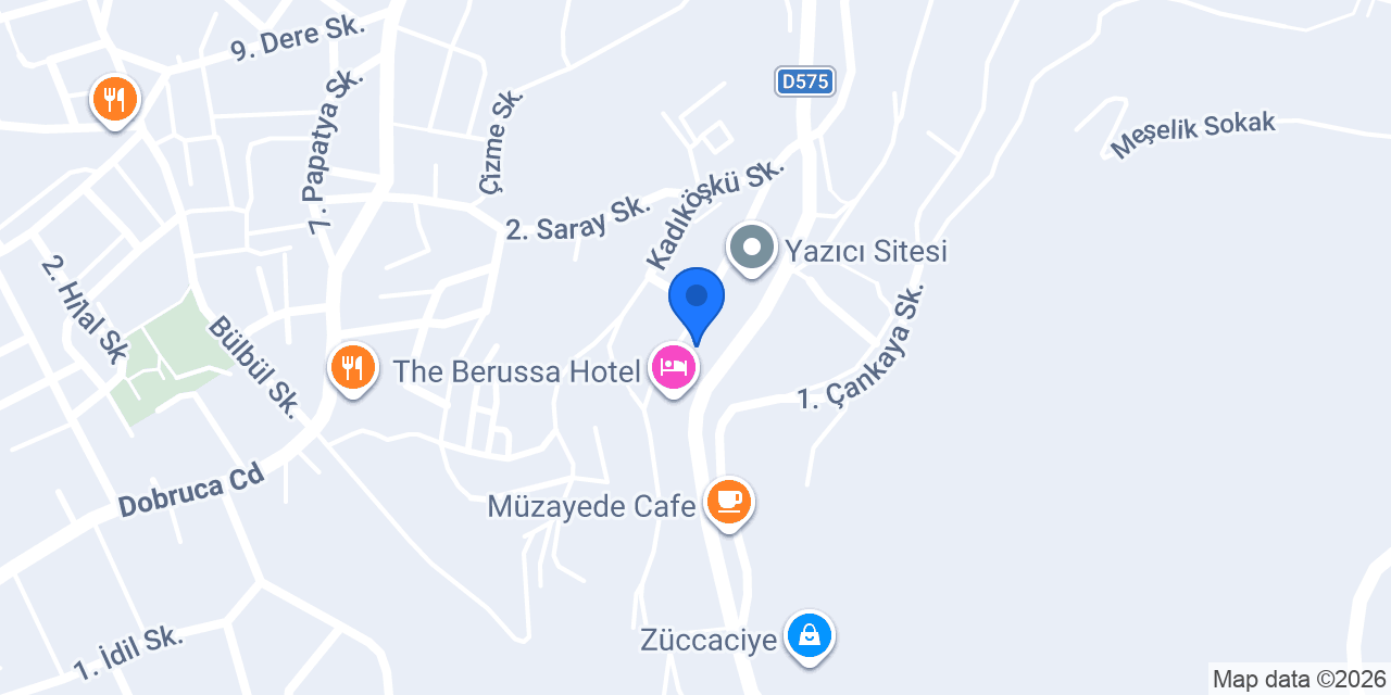 VİLLA ADEN BURSA konumu