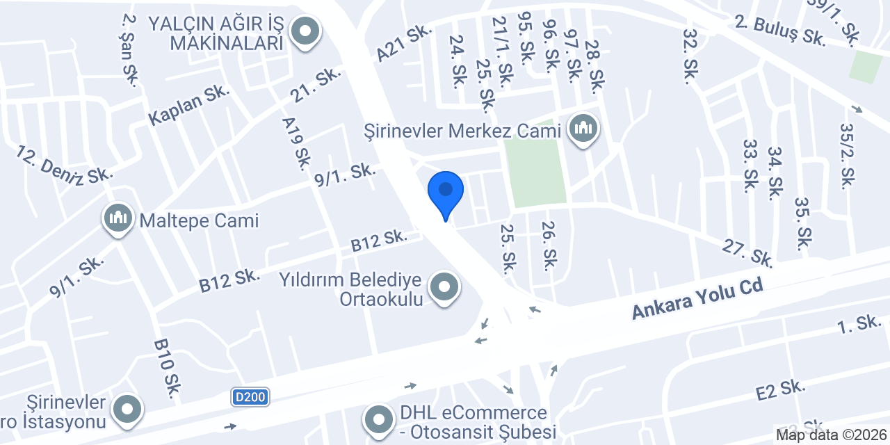Aslan auto konumu