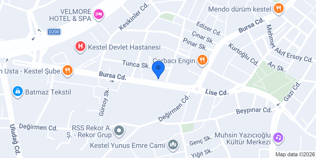 Aras Kargo Kestel Şubesi konumu