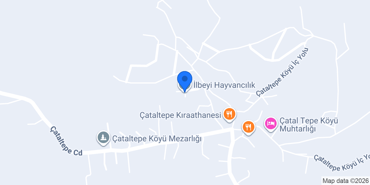 İlbeyi Hayvancılık konumu