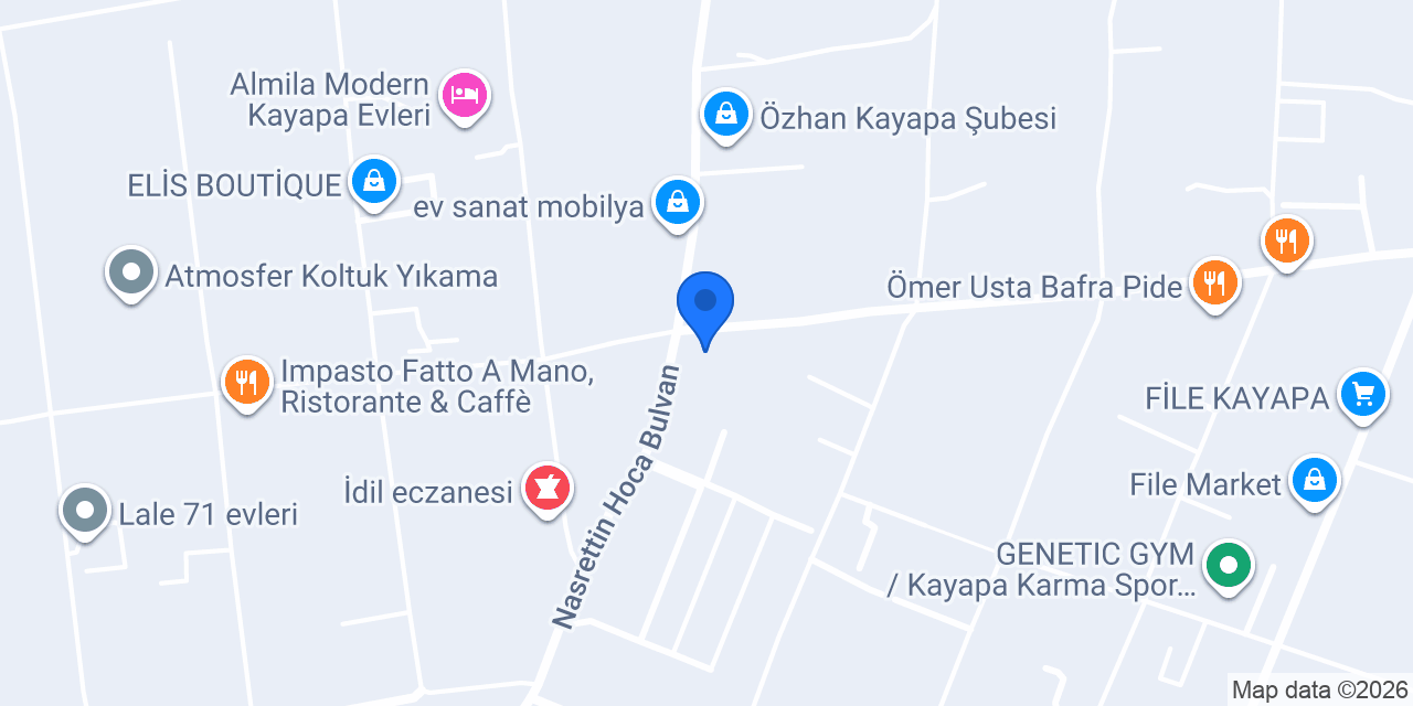 Alp Gıda bursa konumu