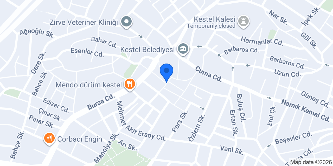 Kestel Et ve Piliç Market konumu