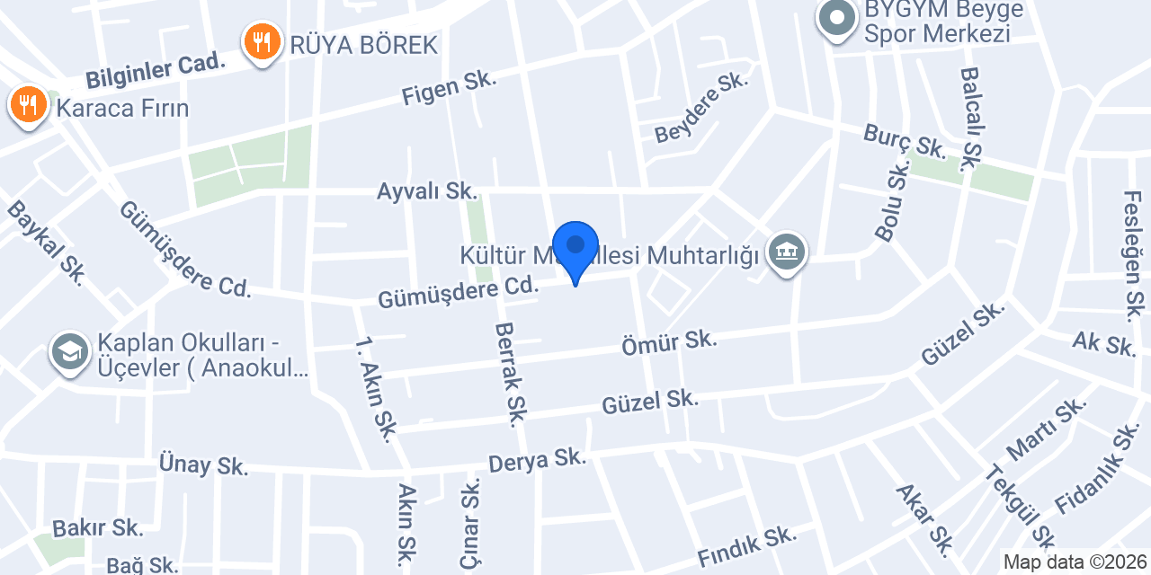 Sarıgül Çiçekçilik, Beşevler, Nilüfer konumu