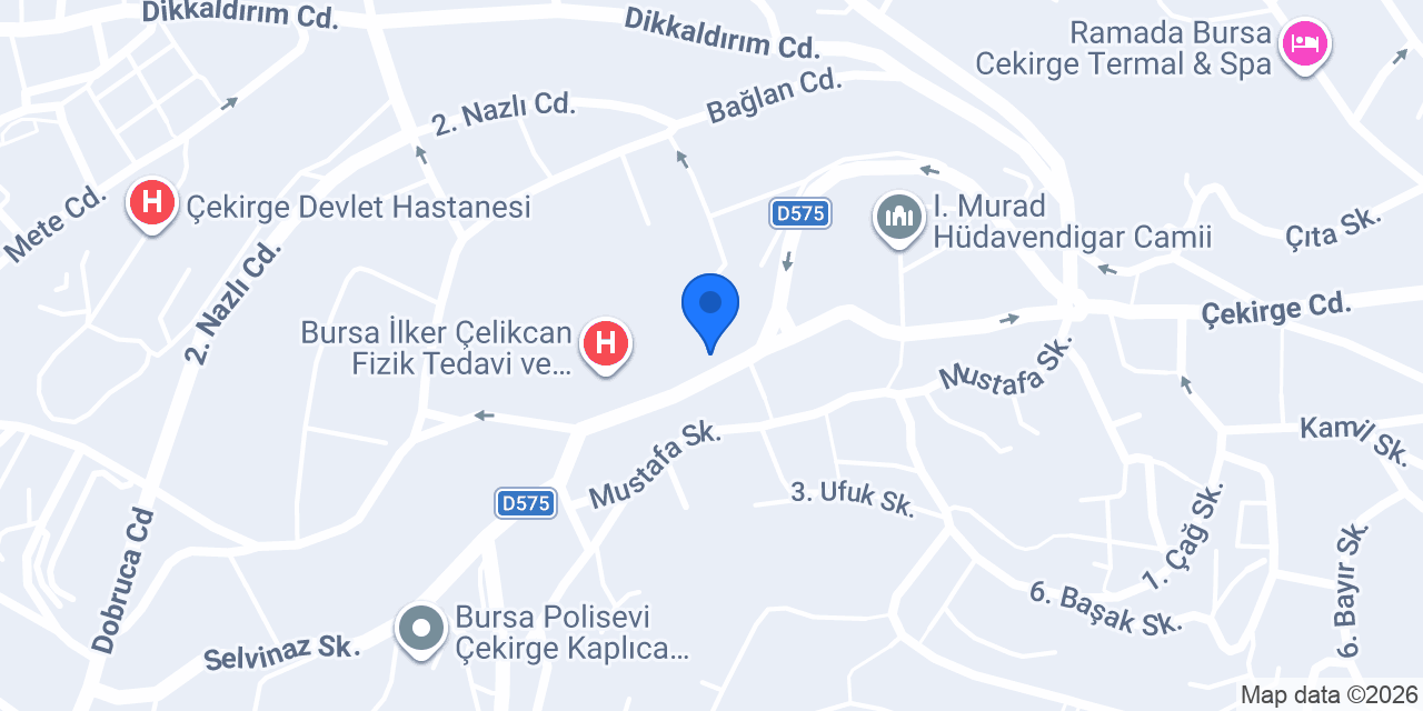 Anemon Bursa Otel konumu