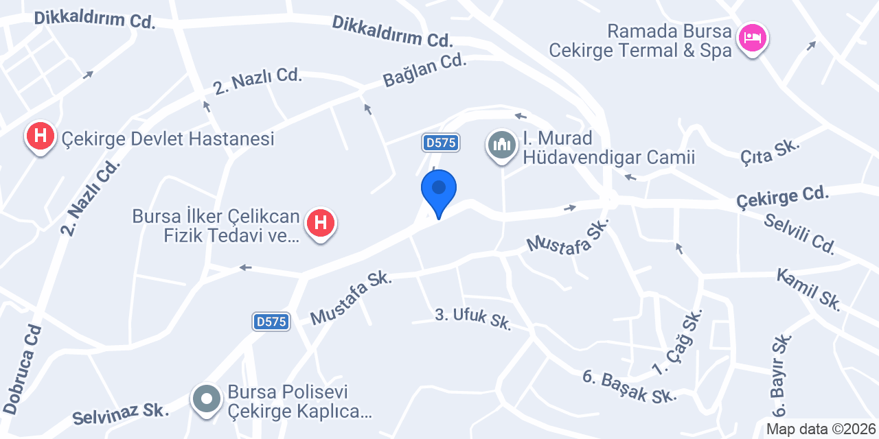 Uludağ Kokoreç Çekirge konumu